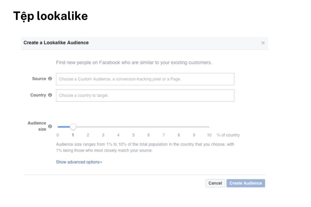 Tính năng Lookalike Audiences Facebook.